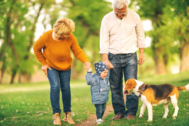 Niezwykła przygoda na&nbsp;Dzień Babci i&nbsp;Dziadka